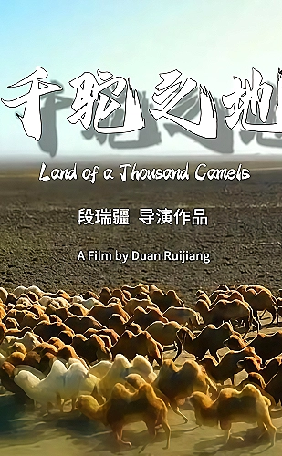 山河同路剧集MV